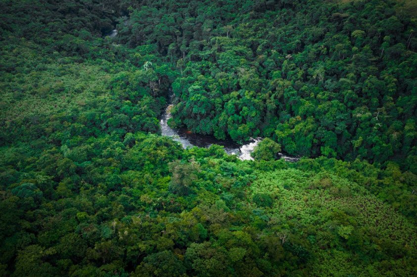 Bombo-Lumene Reserve, Near Kinshasa, DR Congo